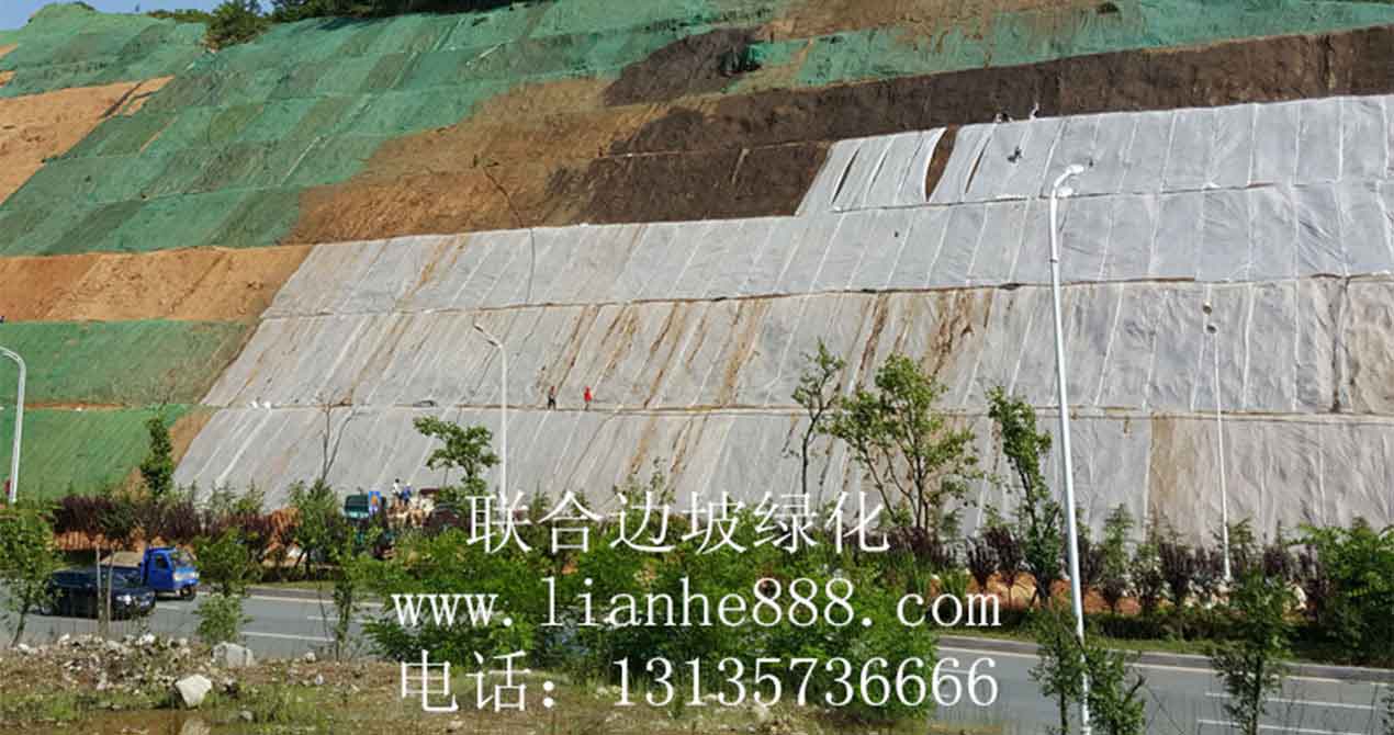 1717070101295456.jpg 20180811093657958.jpg