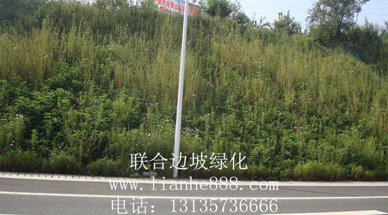 1719905252319209.jpg 20240628100845.jpg